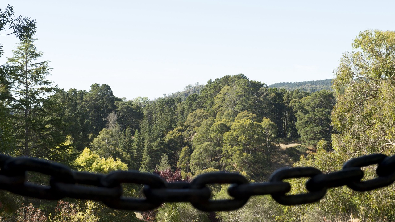 Photo of Others in Basket Range