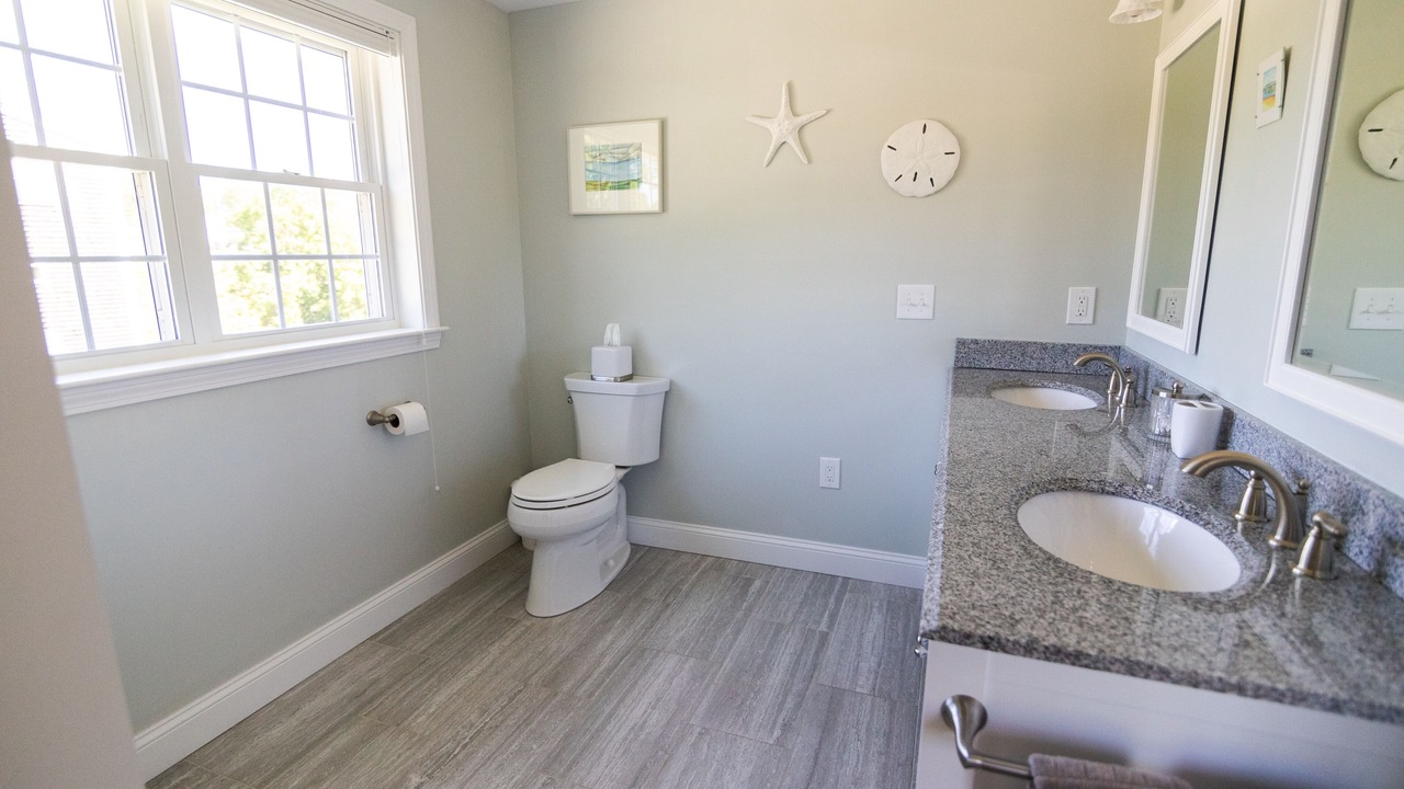 Photo of Others in Cedar Bushes