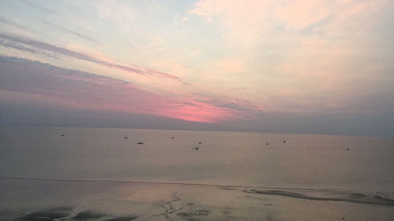 Photo of Others in Cedar Bushes