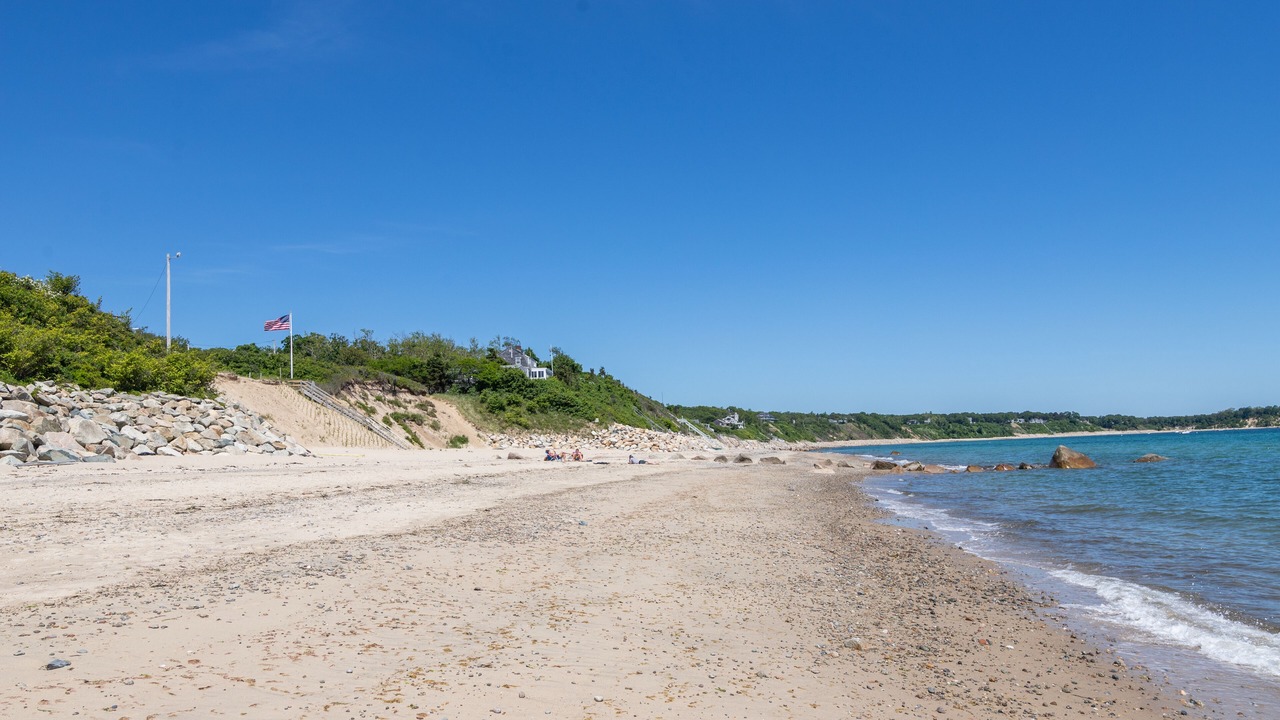Photo of Others in Cedar Bushes