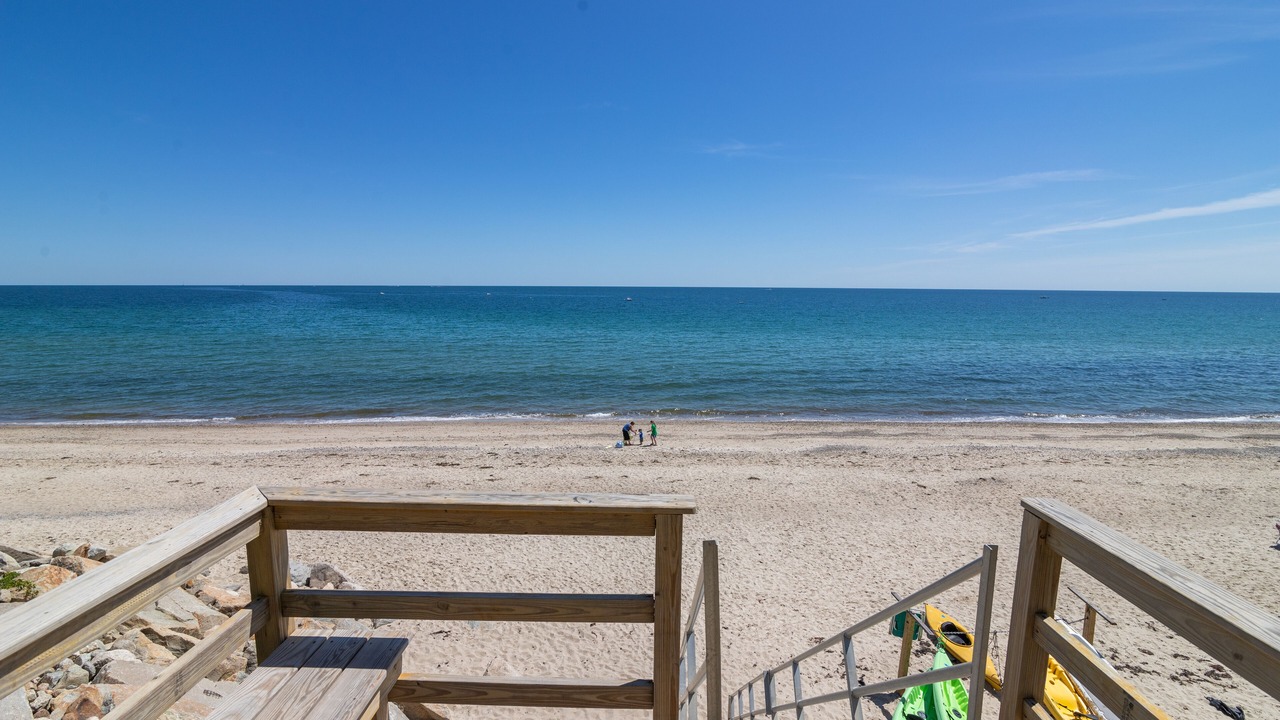Photo of Others in Cedar Bushes
