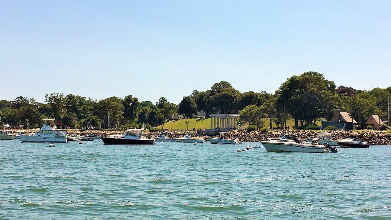 Photo of Others in Cedar Bushes