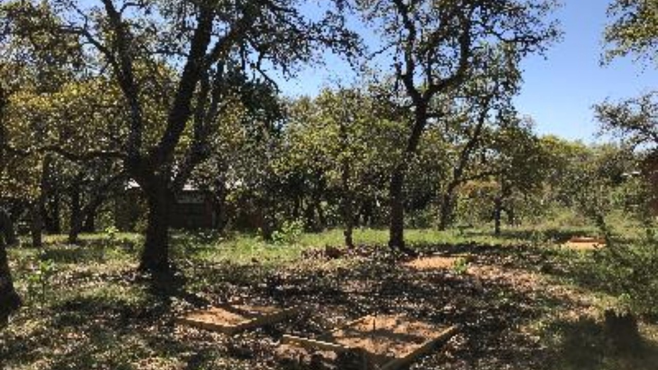 Photo of Outdoor in Fredericksburg