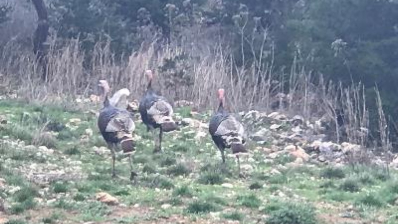 Photo of Outdoor in Fredericksburg