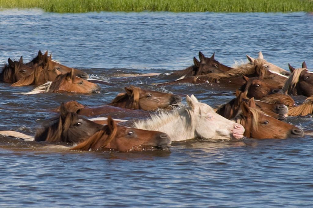 Photo of Others in Deep Hole