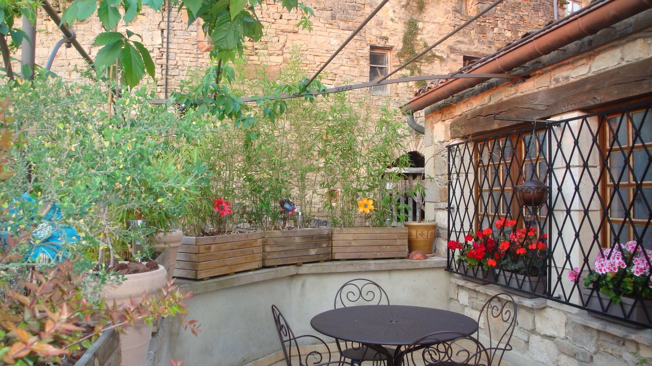 Photo of Others in Cordes-sur-Ciel