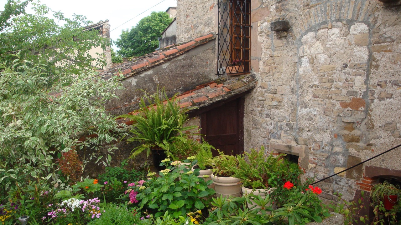 Photo of Outdoor in Cordes-sur-Ciel