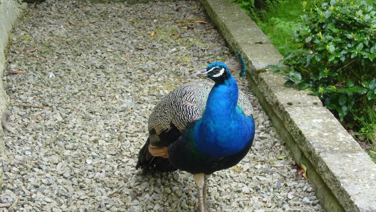 Photo of Outdoor in Muchalls