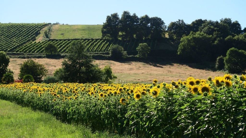 Photo of Outdoor in Mont-Disse