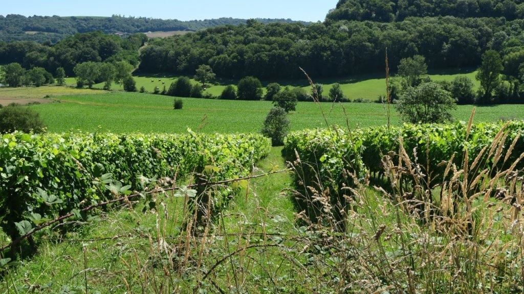 Photo of Outdoor in Mont-Disse