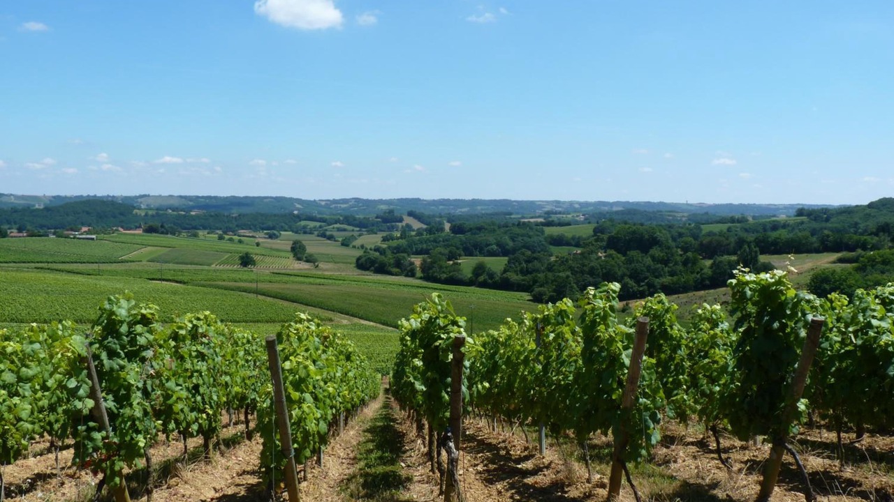 Photo of Outdoor in Mont-Disse
