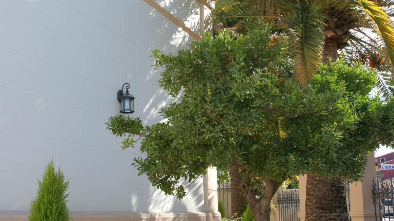 Photo of Patio Balcony in Parcent
