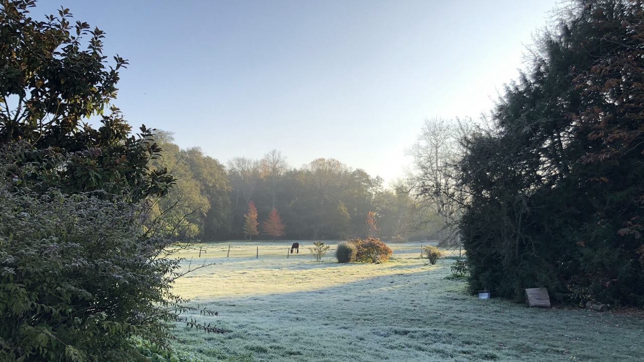Photo of Others in Saint-Cyr-sous-Dourdan