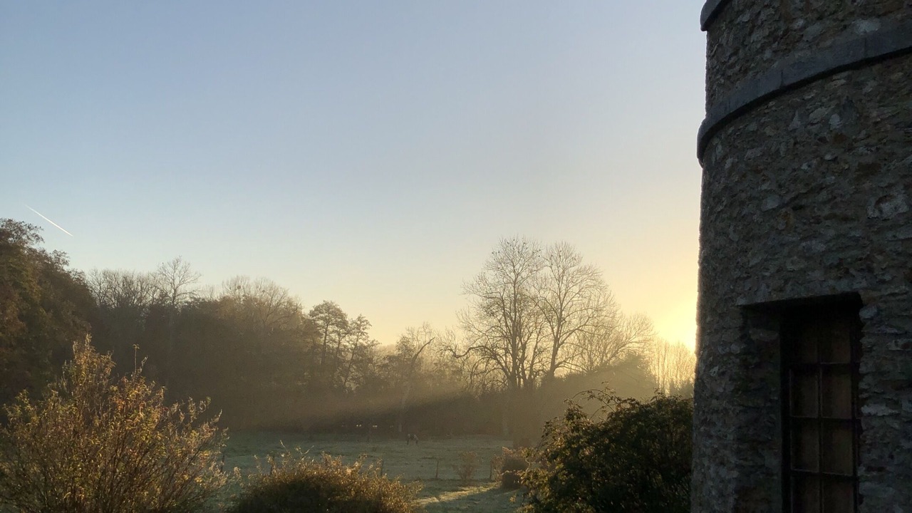 Photo of Others in Saint-Cyr-sous-Dourdan