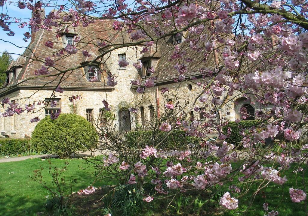 Photo of Outdoor in Saint-Cyr-sous-Dourdan