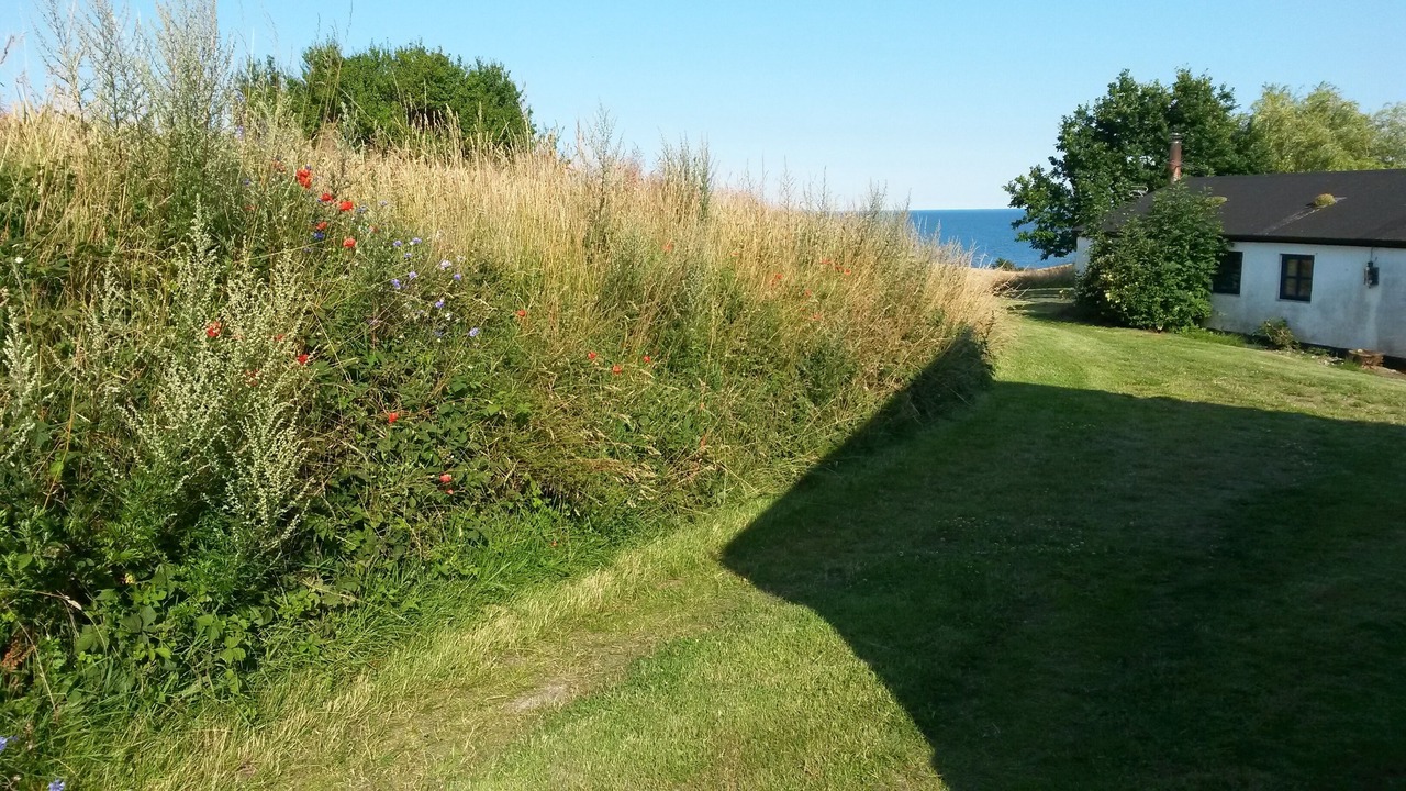 Photo of Outdoor in Esby