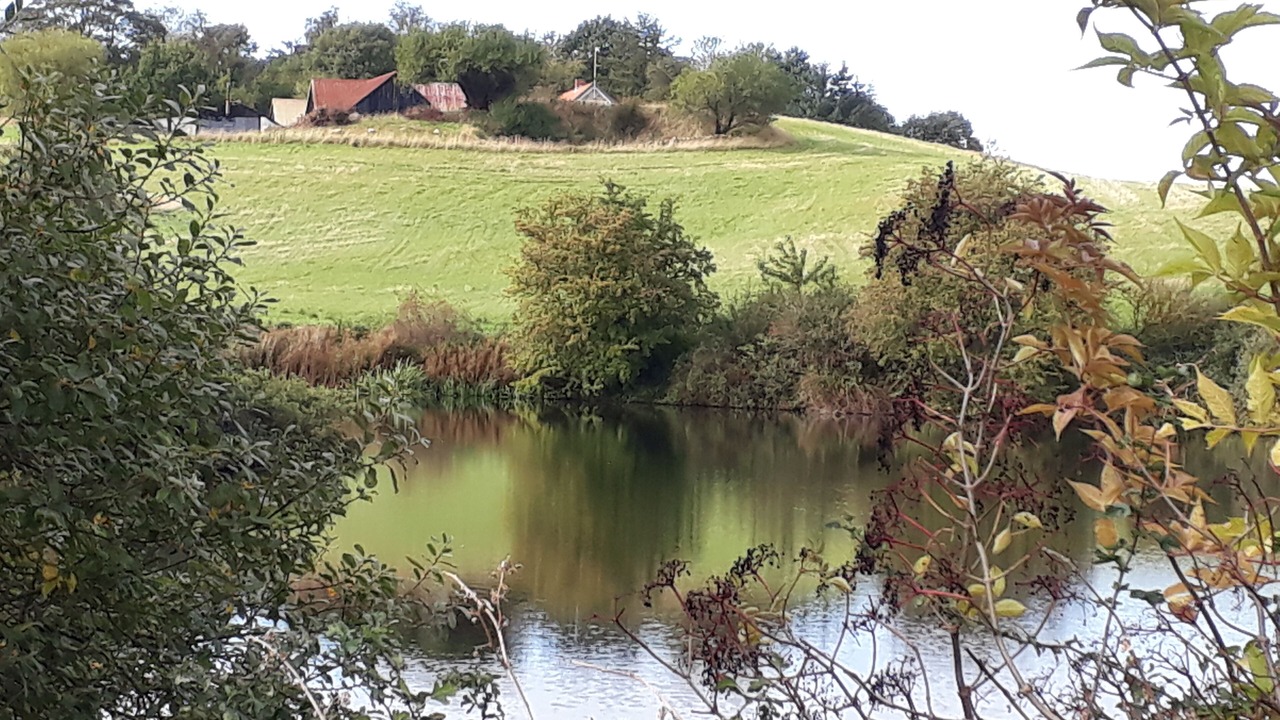 Photo of Outdoor in Esby