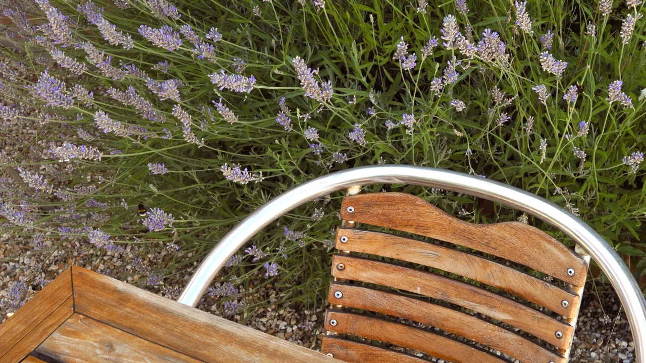 Photo of Patio Balcony in Etretat