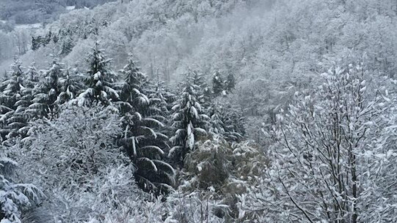 Photo of Others in Freland