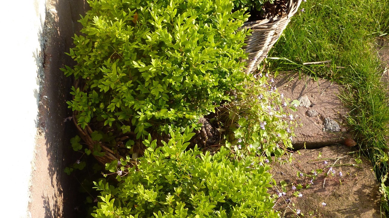 Photo of Outdoor in Freland