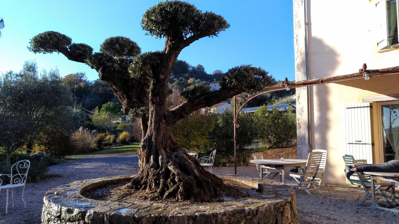 Photo of Outdoor in Tourrettes