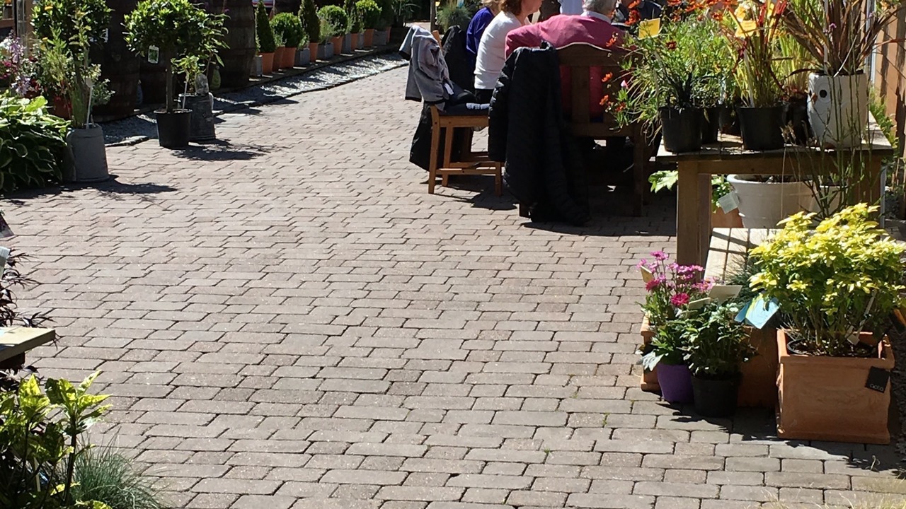Photo of Patio Balcony in Gigha