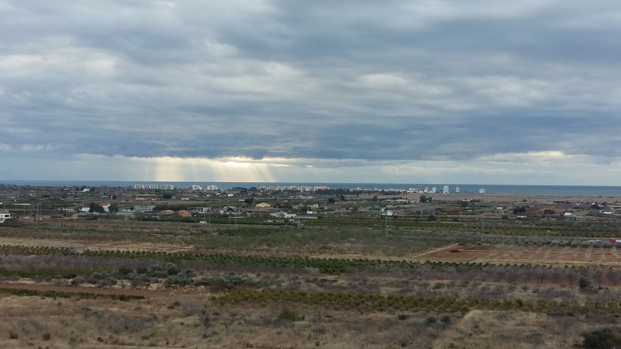 Photo of Others in Torreblanca