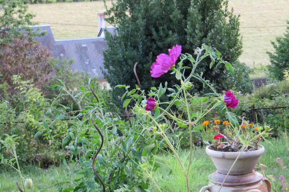 Photo of Outdoor in Vernou-sur-Brenne