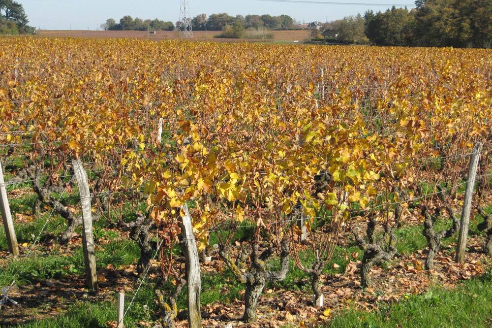 Photo of Outdoor in Vernou-sur-Brenne