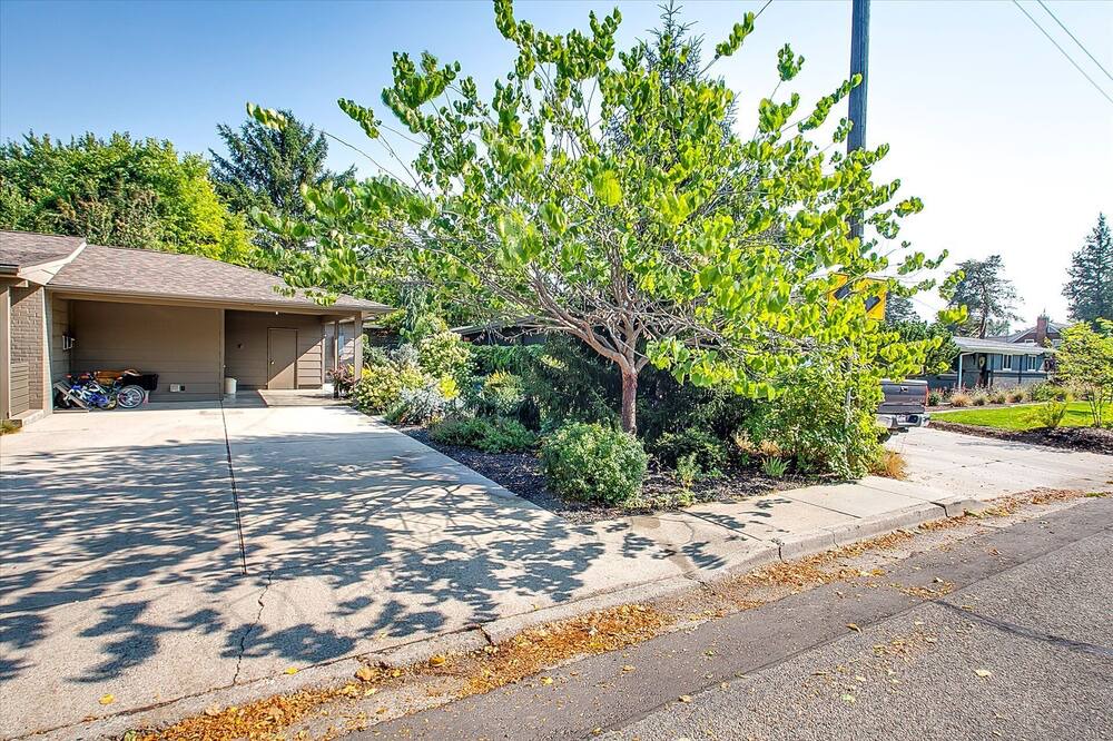 Photo of Others in East End