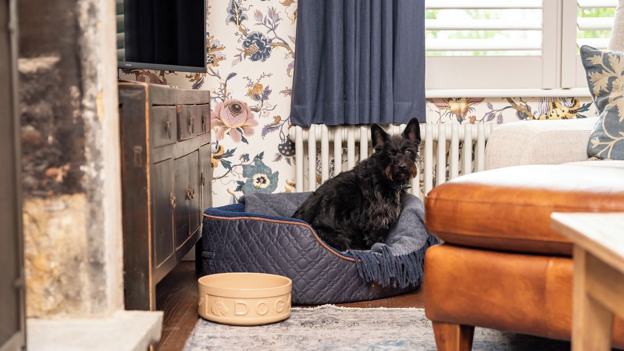 Photo of Others in Ainley Top