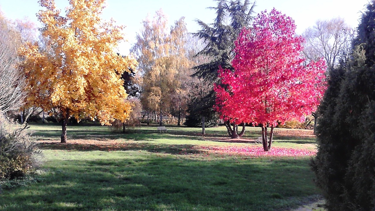 Photo of Outdoor in Bulgneville