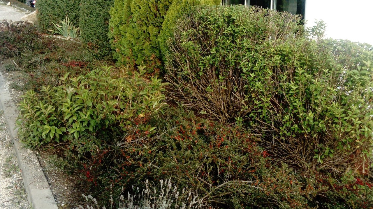 Photo of Outdoor in Bulgneville