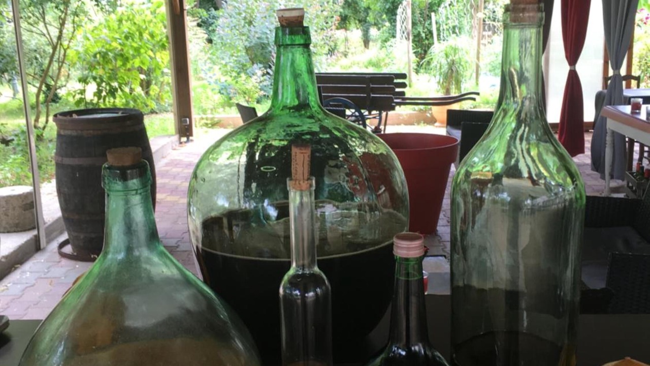 Photo of Others in Saint-Aigulin