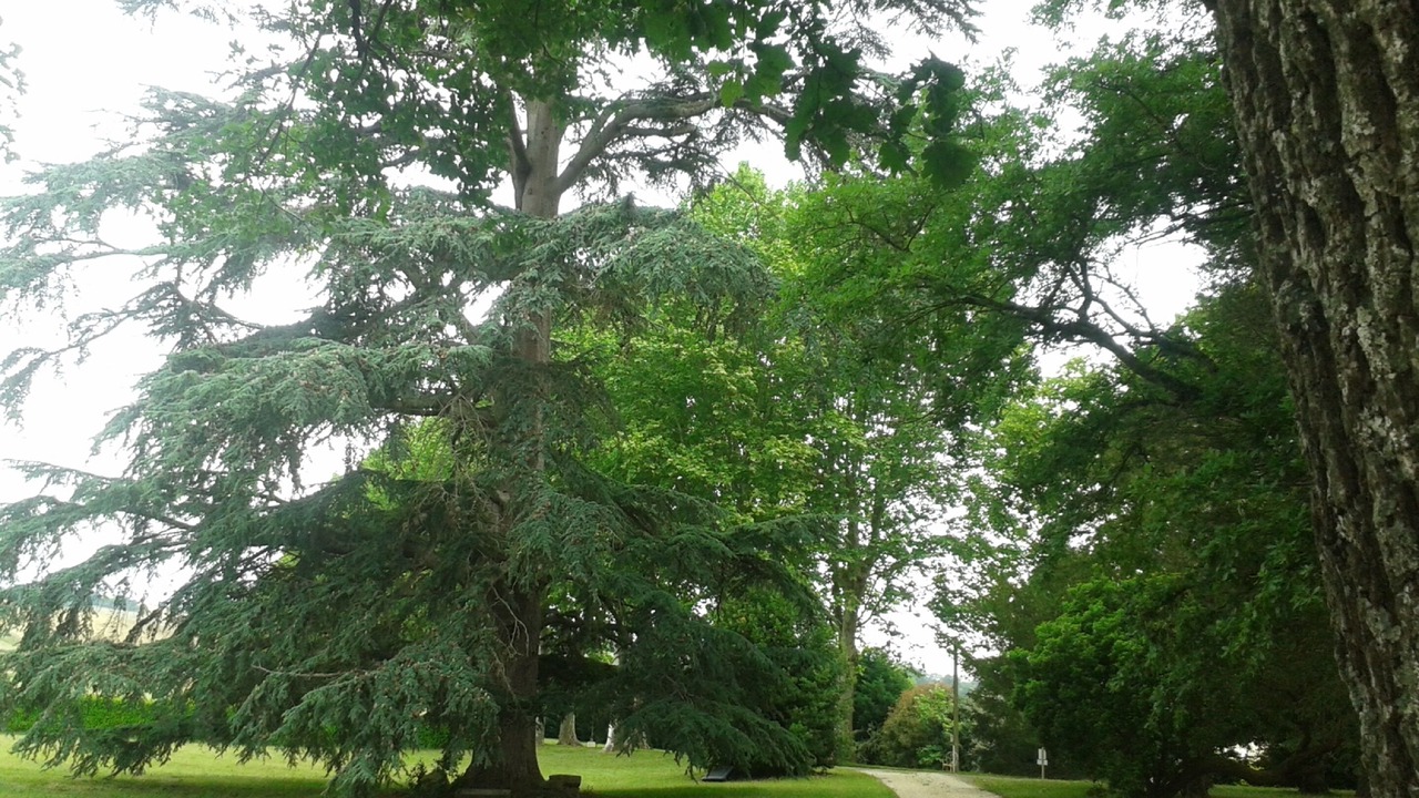 Photo of Outdoor in Clairac