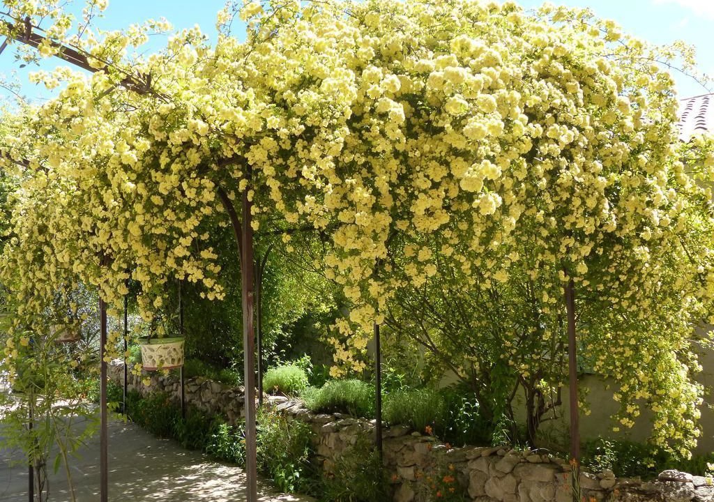 Photo of Outdoor in Moustiers-Sainte-Marie