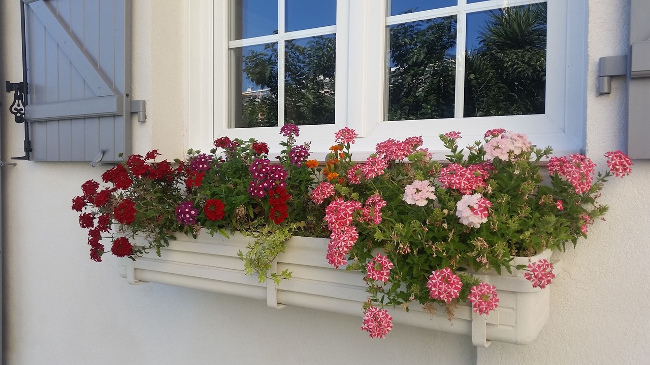 Photo of Outdoor in Carnot