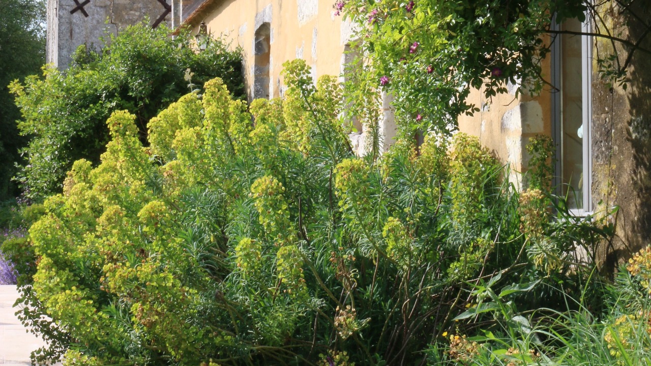 Photo of Outdoor in La Chapelle-Montligeon