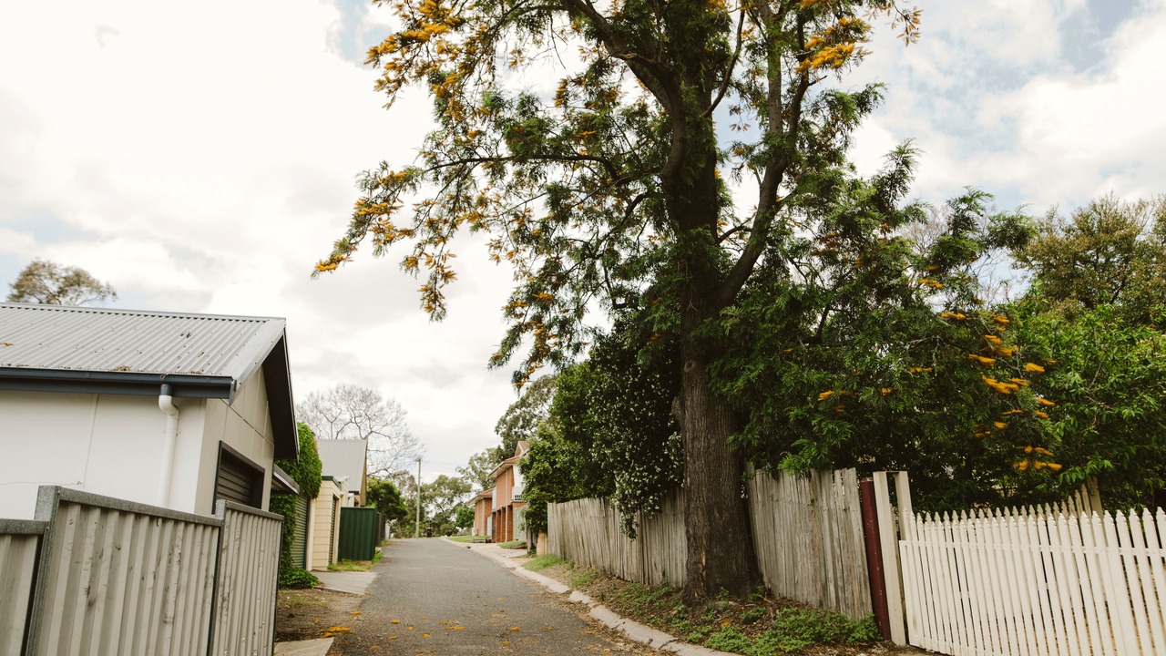 Photo of Others in East Maitland