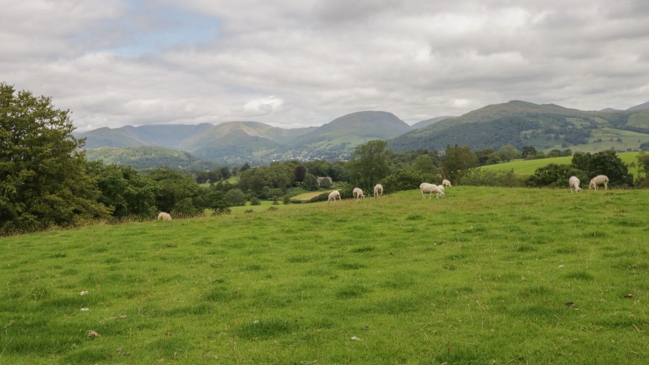 Photo of Others in Near Sawrey