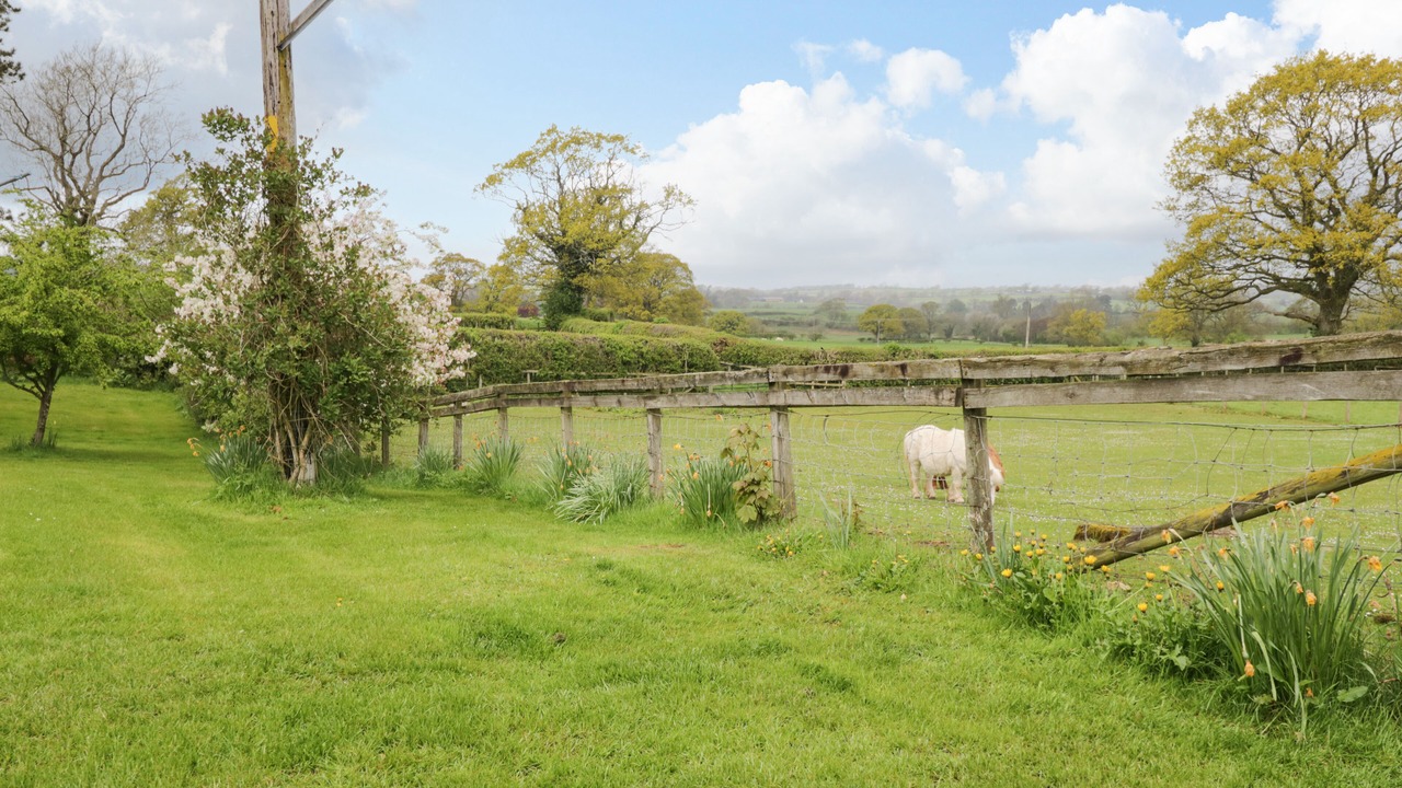 Photo of Others in Welton