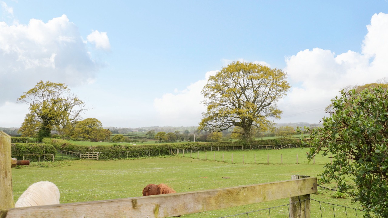 Photo of Others in Welton