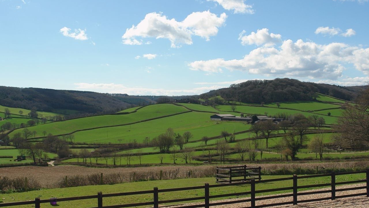 Photo of Others in Colyton