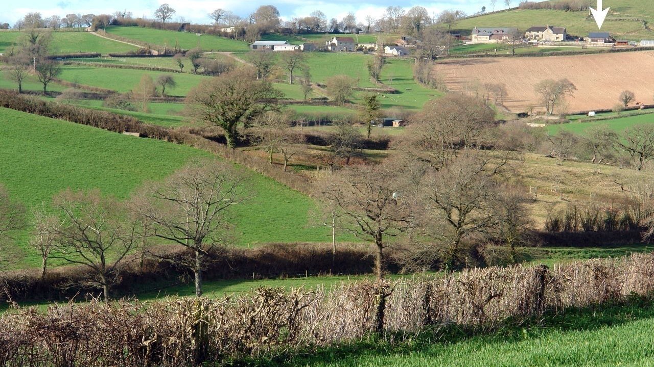 Photo of Others in Colyton