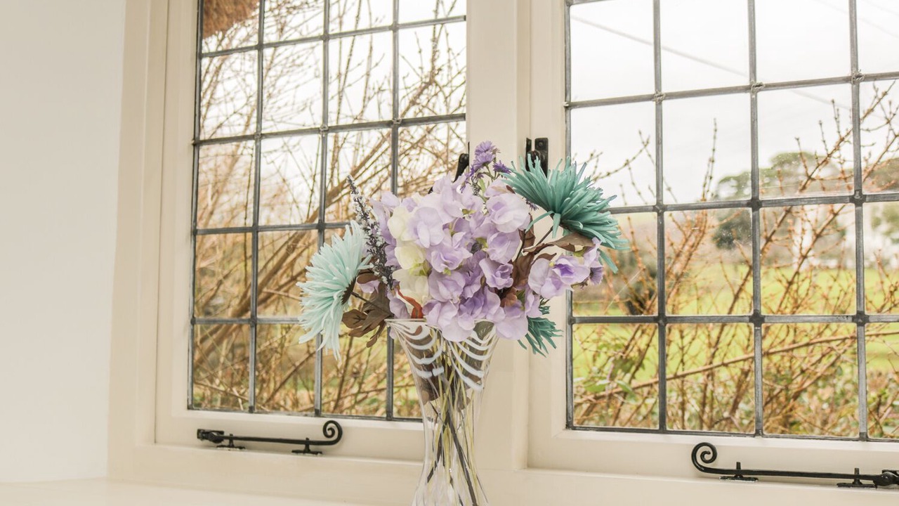 Photo of Others in Minehead