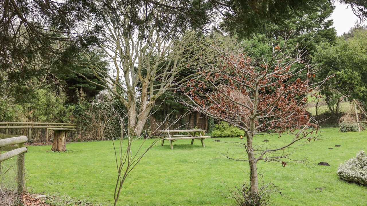 Photo of Others in Minehead