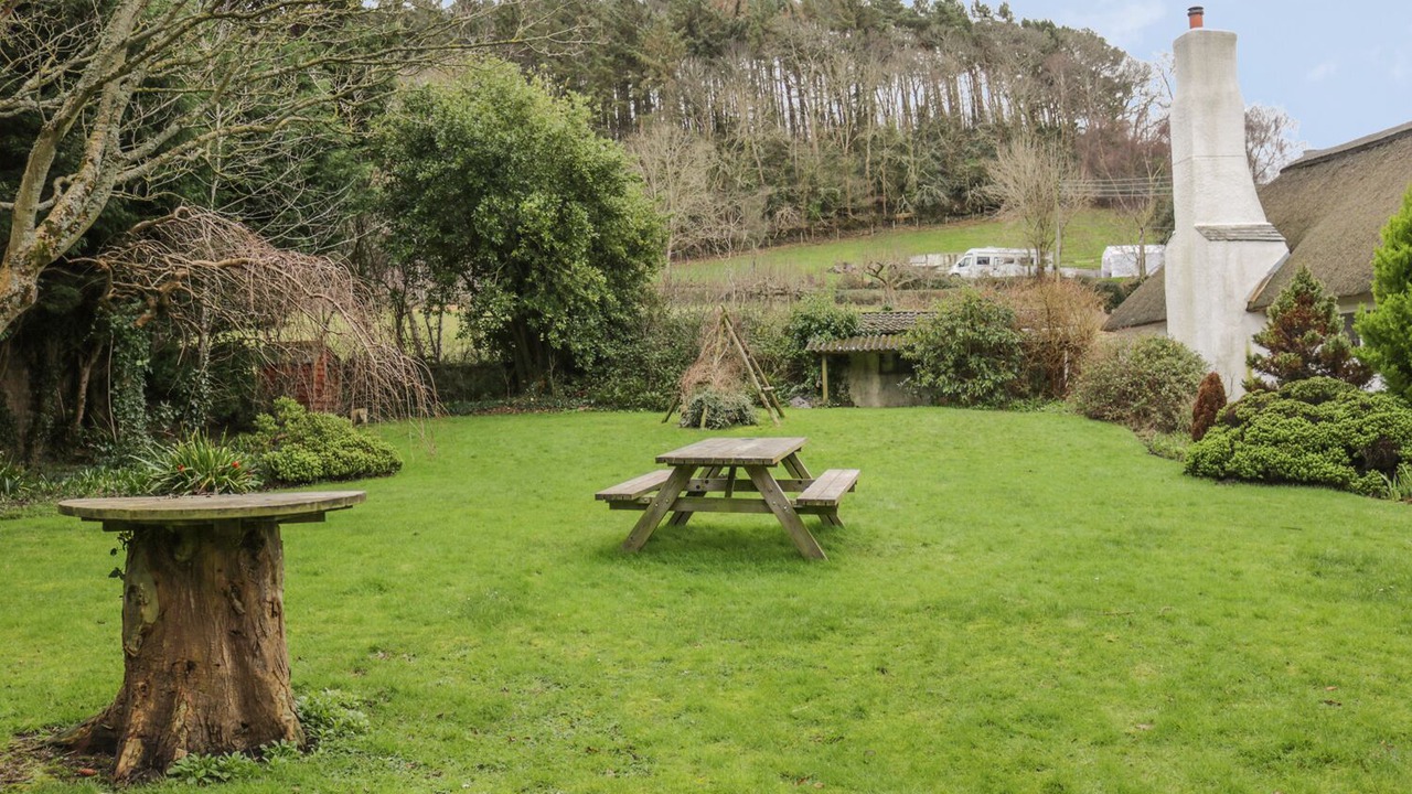 Photo of Others in Minehead