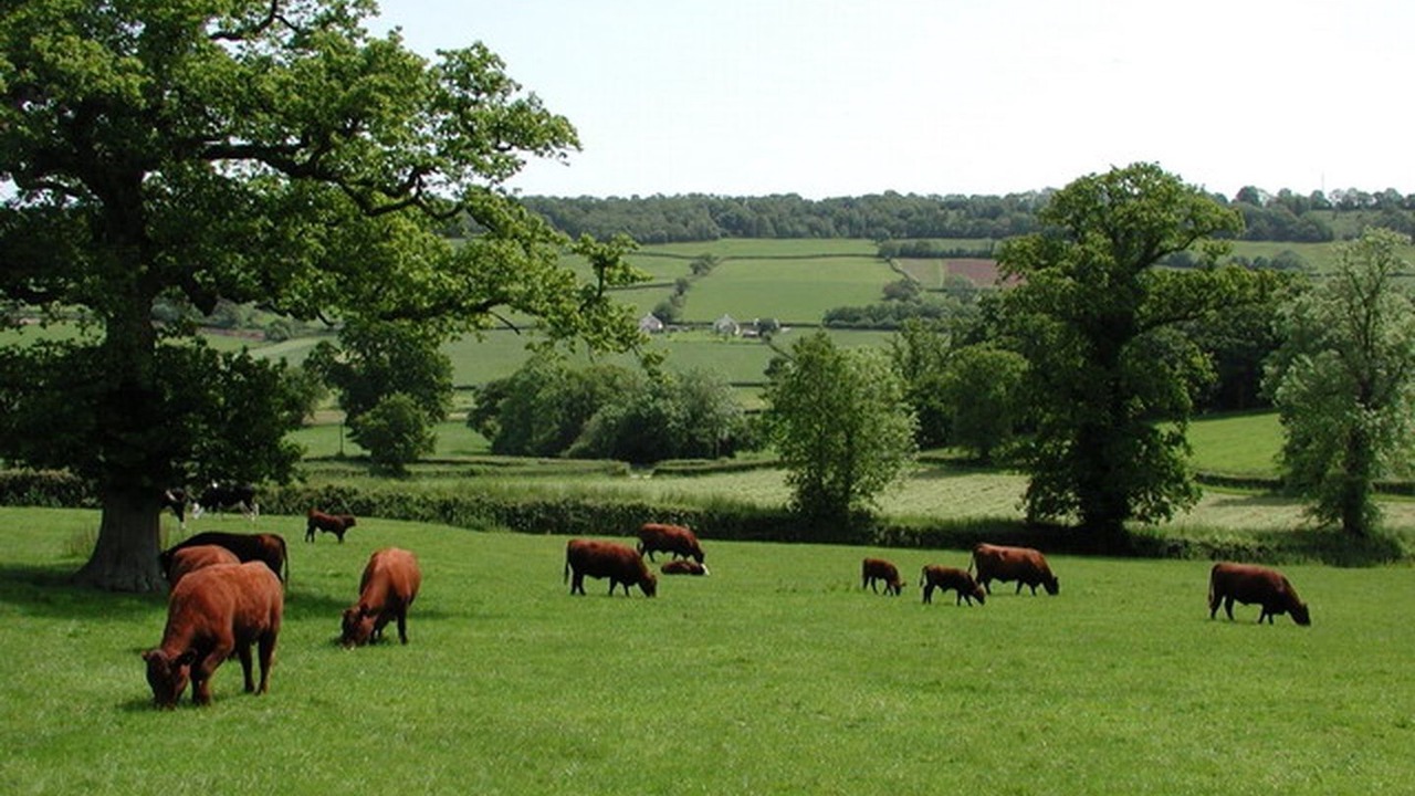 Photo of Others in Monkton