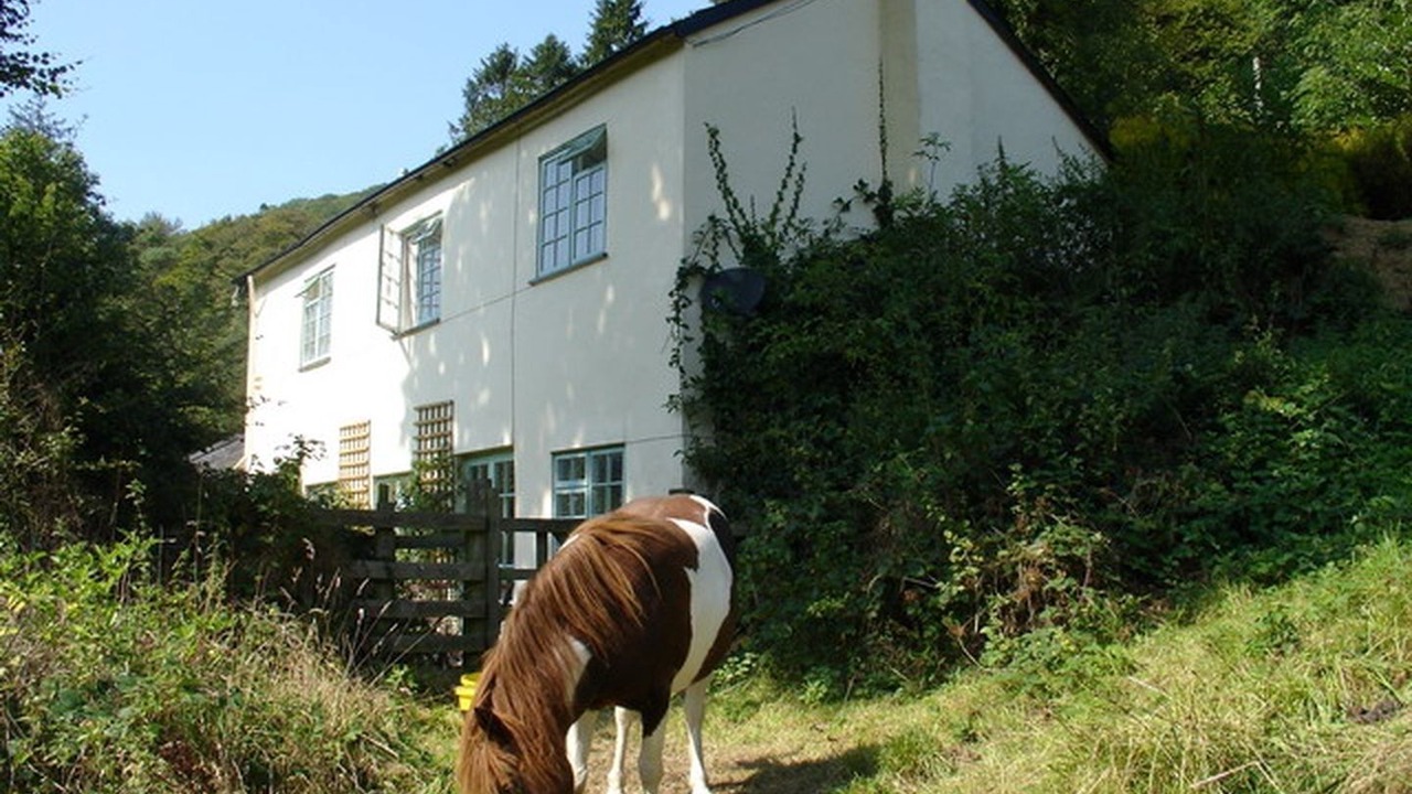 Photo of Others in Tarr Steps