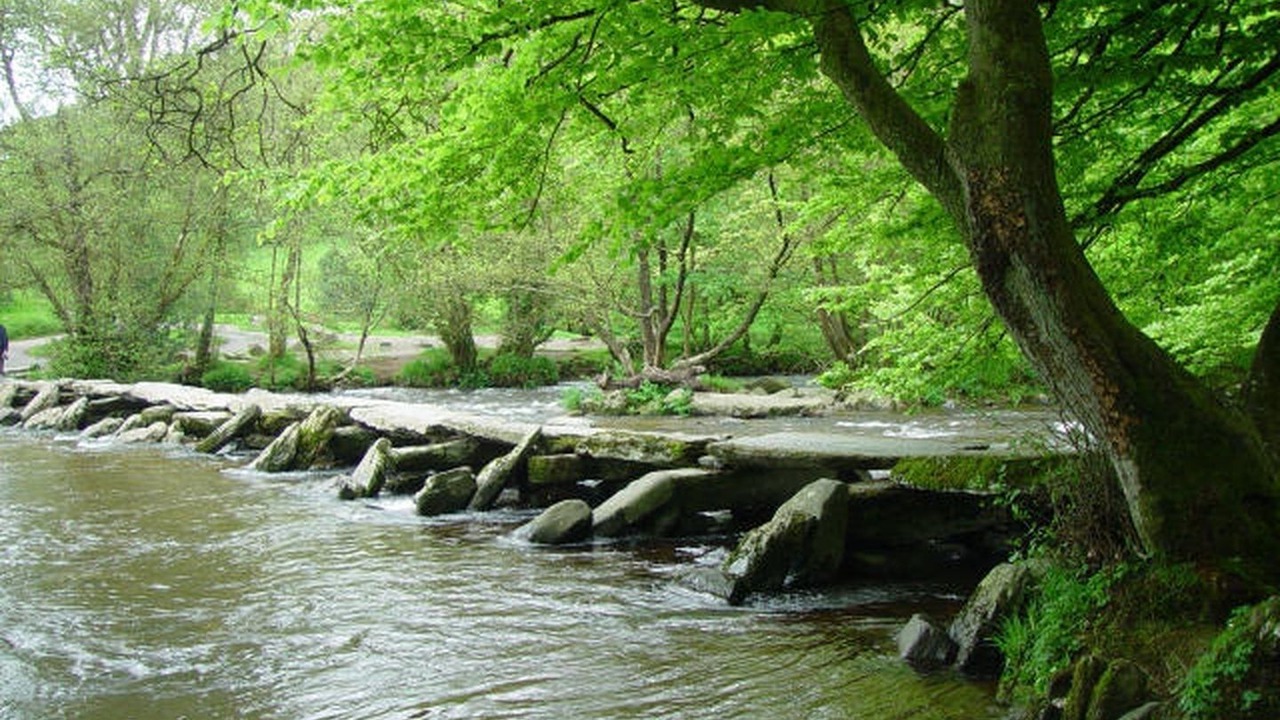 Photo of Others in Tarr Steps